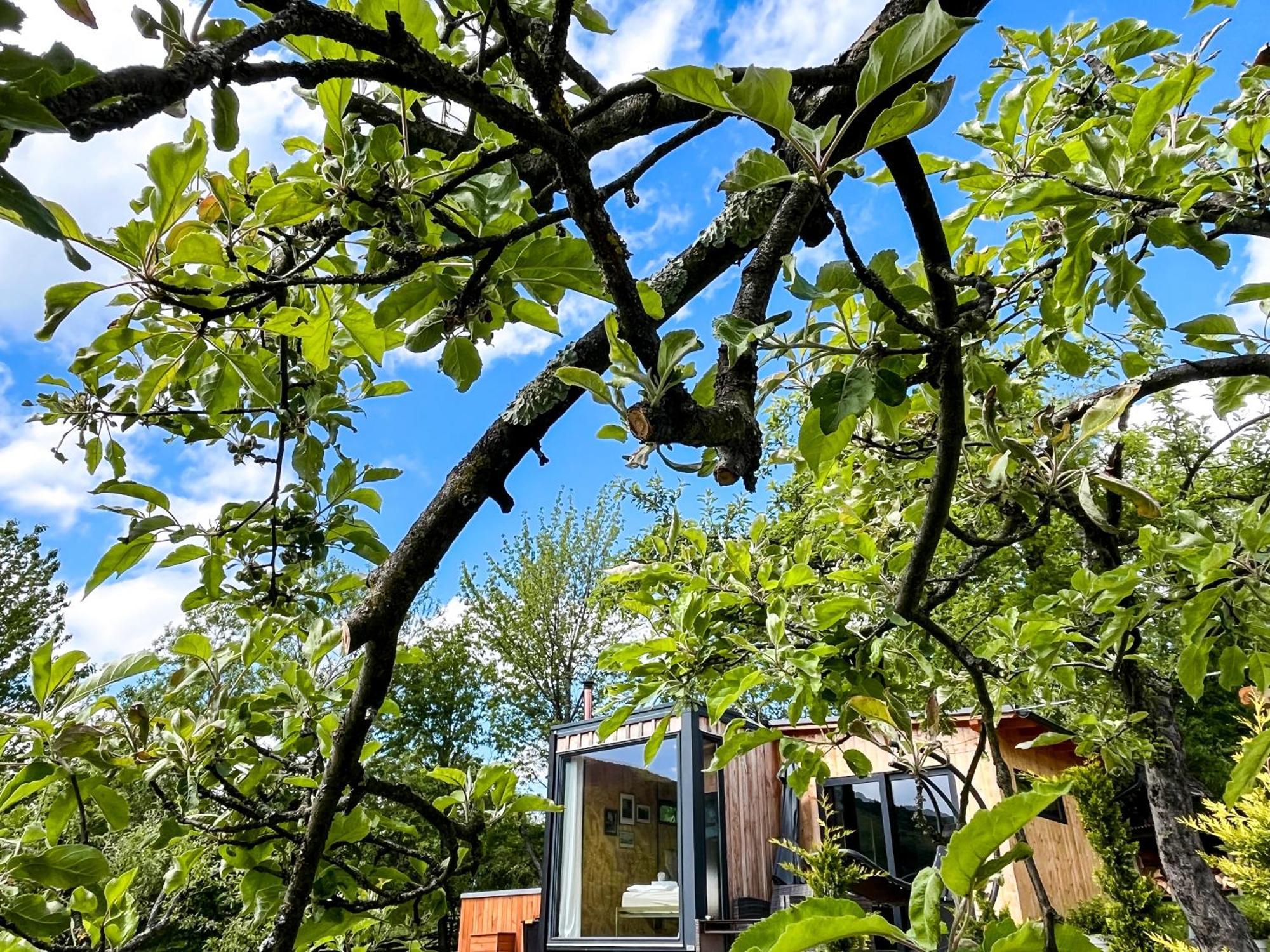 Elysian Fields - The Island Tiny House Acomodação com café da manhã Sadu Exterior foto